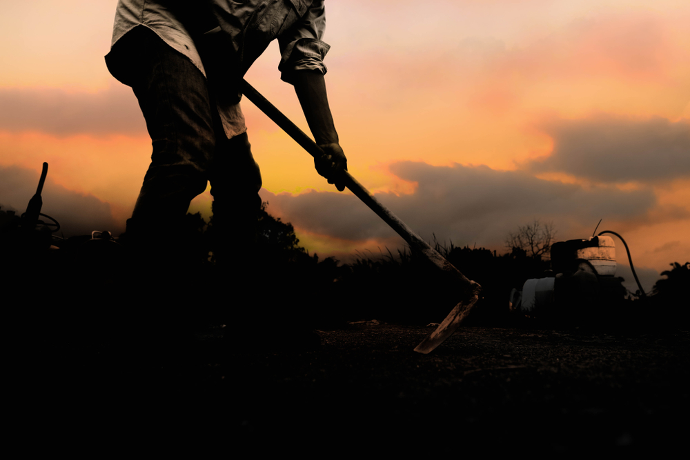 Long Island Excavation Services